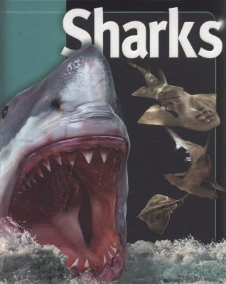 Sharks. Beverly McMillan and John A. Musick 1840117478 Book Cover