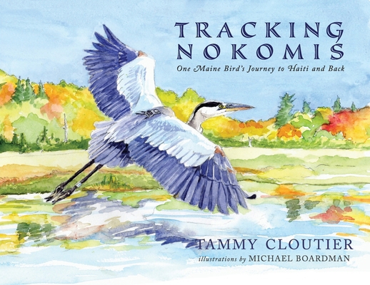 Tracking Nokomis            Book Cover