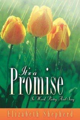 It's A Promise 1597816221 Book Cover