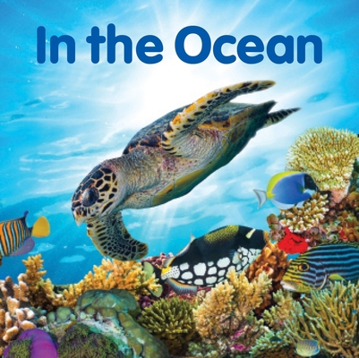 In the Ocean 1760795348 Book Cover