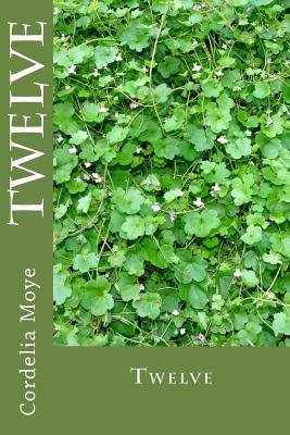 Twelve: Twelve 1514237040 Book Cover
