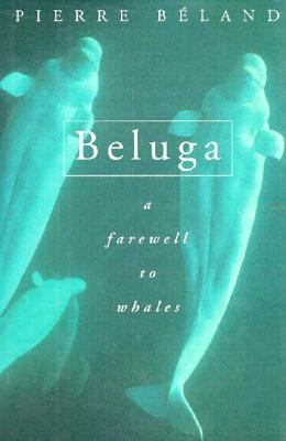 Beluga : A Farewell to Whales 1558213988 Book Cover