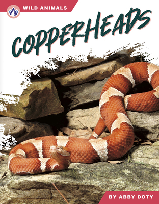 Copperheads B0DVHWB1GS Book Cover