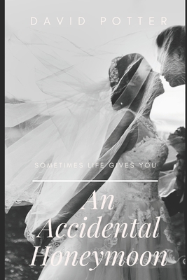 An Accidental Honeymoon B08HBDDSB7 Book Cover