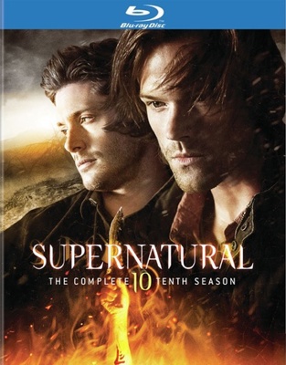 Supernatural: The Complete Tenth Season B00T5D4QIA Book Cover