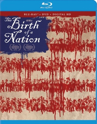 The Birth of a Nation            Book Cover