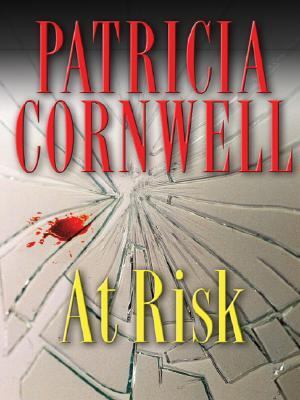 At Risk [Large Print] 0786285605 Book Cover