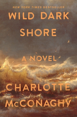 Wild Dark Shore: Reese's Book Club Pick (a Novel) 1250828015 Book Cover