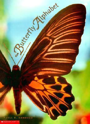 Butterfly Alphabet 0613184513 Book Cover