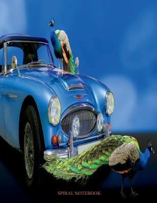 Spiral Notebook: Spiral Journal, Notebook with ... 172440377X Book Cover