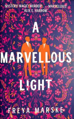 A Marvellous Light Book Cover