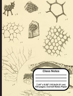 Class Notes 1719922640 Book Cover