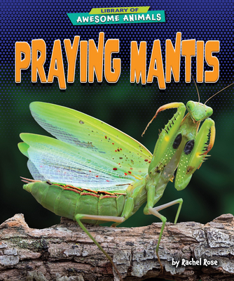 Praying Mantis B0CVJ7VD9N Book Cover