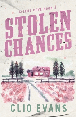 Stolen Chances: A Single Mom, MMF, Small Town R... B0FM27STNV Book Cover
