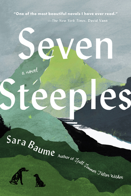 Seven Steeples 006326868X Book Cover