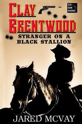 Stranger on a Black Stallion 0692164685 Book Cover