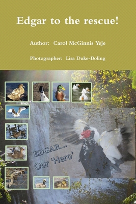 Edgar to the rescue! 1678134686 Book Cover