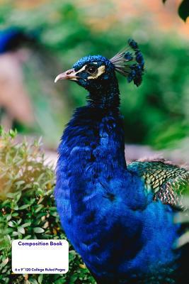 Composition Book 1072369451 Book Cover