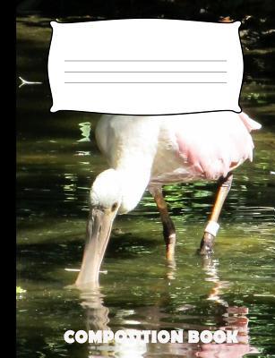 Composition Book: Spoonbill Composition Noteboo... 1073125432 Book Cover