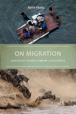 On Migration: Dangerous Journeys and the Living... 1619024330 Book Cover