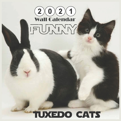 Paperback Tuxedo Cats FUNNY: 2021 Wall & Office Calendar, 12 Month Calendar Book