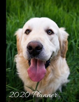 2020 Planner: Golden Retriever Dog Cover - 2020... 1692096338 Book Cover