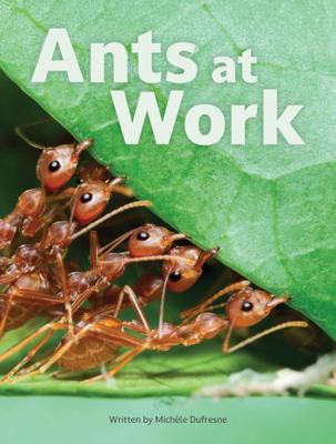 Ants at Work            Book Cover