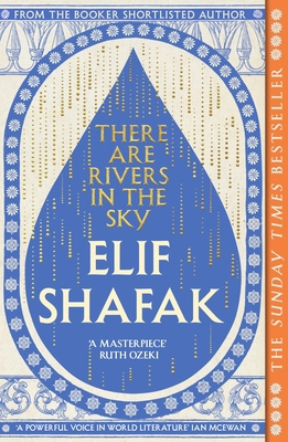 There are rivers in the sky 0241988748 Book Cover