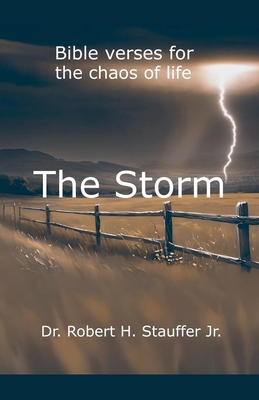 The Storm B0DP1M8NQT Book Cover