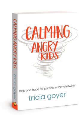 Calming Angry Kids: Help and Hope for Parents i... 1434711005 Book Cover