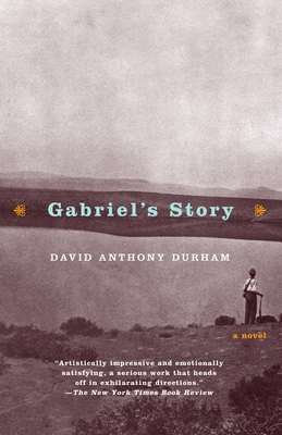 Gabriel's Story: A Novel (Hurston/Wright Legacy... 0385720335 Book Cover