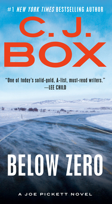 Below Zero 0735211965 Book Cover
