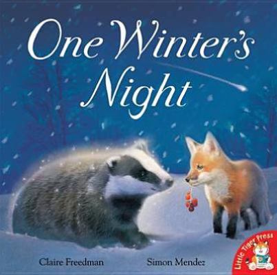 One Winter's Night 1845069722 Book Cover