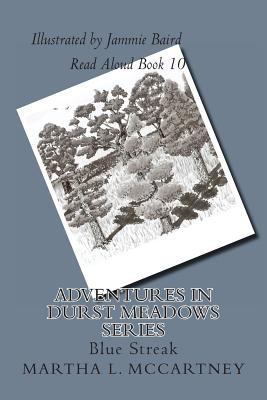 Adventures In Durst Meadows: Blue Streak 1495348032 Book Cover