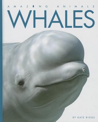 Whales 1608183513 Book Cover