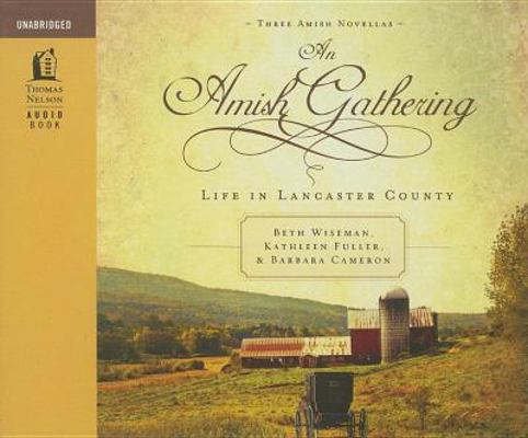 An Amish Gathering: Life in Lancaster County 1400316219 Book Cover