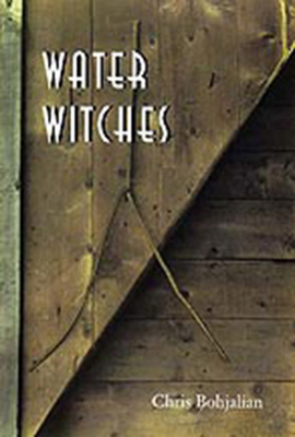 Water Witches 0874516870 Book Cover