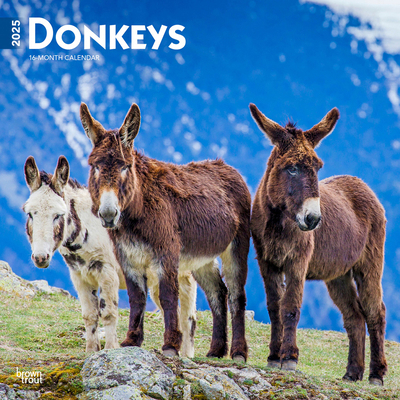 Donkeys 2025 12 X 24 Inch Monthly Square Wall C... 1975476948 Book Cover