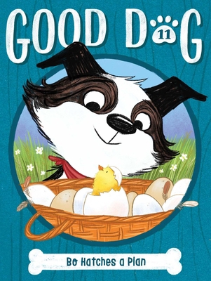 Bo Hatches a Plan 1665930764 Book Cover