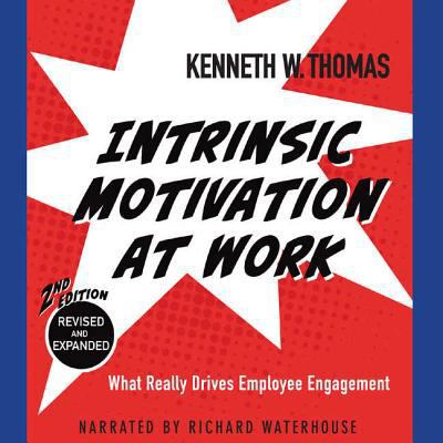 Intrinsic Motivation at Work: What Really Drive... 1620642727 Book Cover