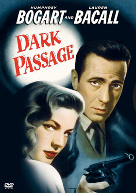 Dark Passage Book Cover