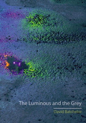 The Luminous and the Grey 1780232802 Book Cover