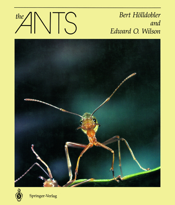 The Ants 3540520929 Book Cover