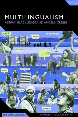 Multilingualism: A Critical Perspective 0826492096 Book Cover
