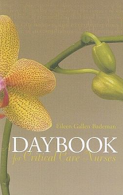 A Daybook for Critical Care Nurses 1930538898 Book Cover
