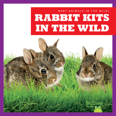 Rabbit Kits in the Wild B0BY132FZG Book Cover