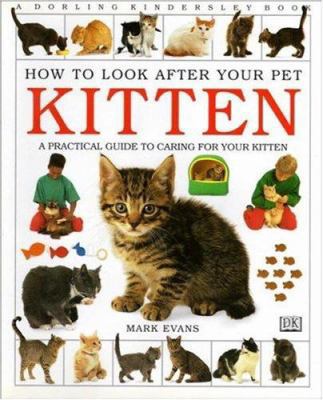 Kitten (How to Look After Your Pet) 0751354031 Book Cover