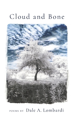 Cloud and Bone B0BR8NJS6H Book Cover