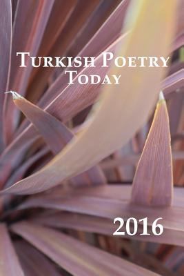 Turkish Poetry Today 2016 1910346179 Book Cover