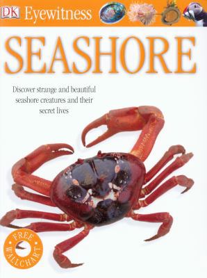 Seashore 1405368330 Book Cover